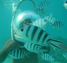 Image: water sports - walking under the sea