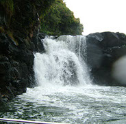 Image: Speed Boat to visite the waterfalls